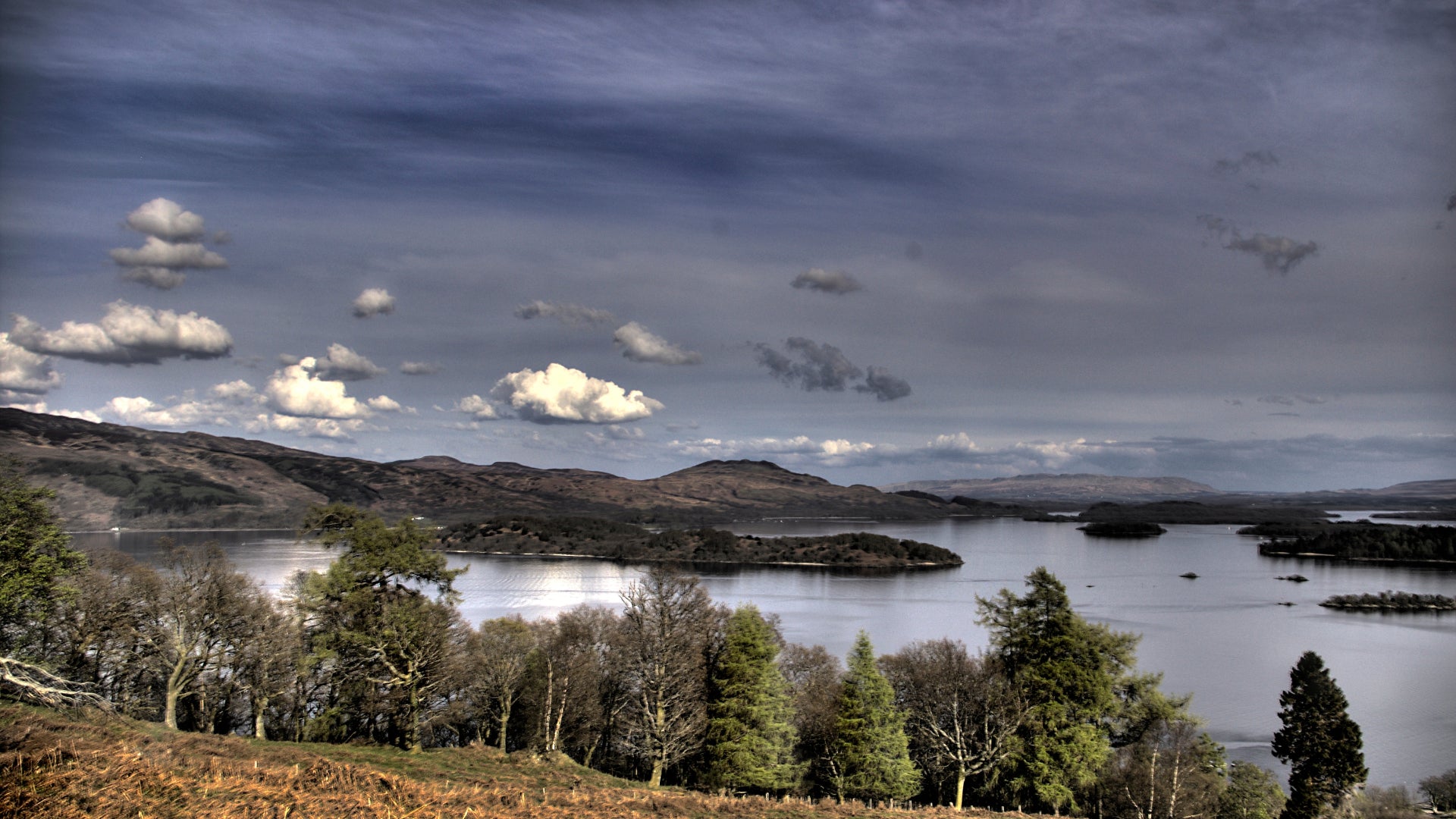 Scottish Made Sustainable Wood Collection